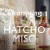 Clearspring Βιολογικό Ιαπωνικό Hatcho Miso