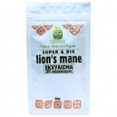 Εκχύλισμα Μανιταριού Lion’s Mane (8:1) - 30% Πολυσακχαρίτες  (50γρ)